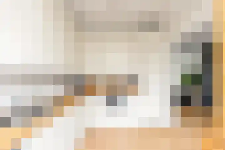 Merel 10 Bodegraven thumbnail 14