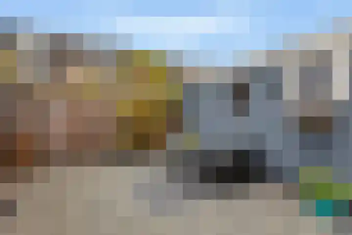 Merel 10 Bodegraven thumbnail 17