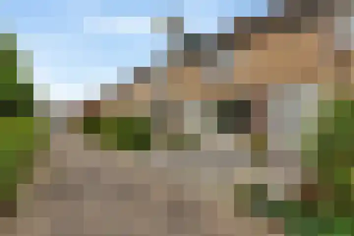 Merel 10 Bodegraven thumbnail 35