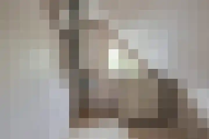 Merel 14 Obdam thumbnail 22