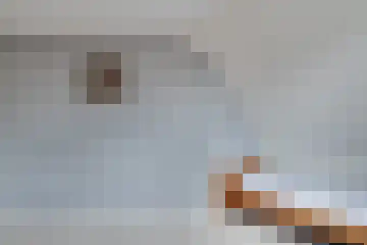 Merel 14 Obdam thumbnail 24