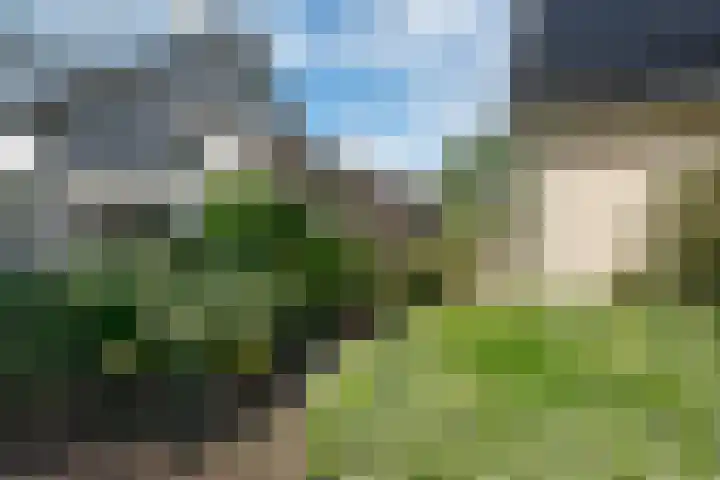 Merel 14 Obdam thumbnail 40