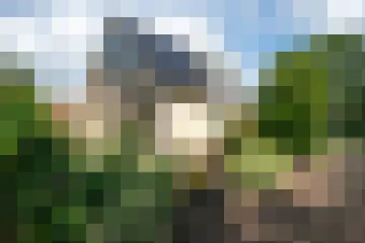 Merel 14 Obdam thumbnail 41