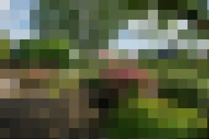 Merel 14 Obdam thumbnail 44