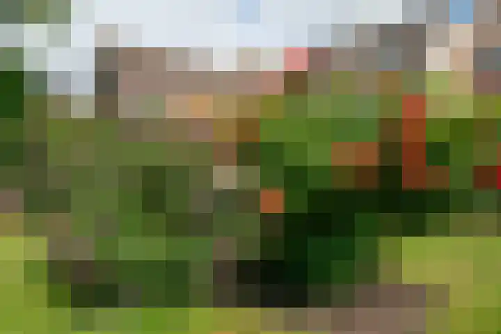 Merel 14 Obdam thumbnail 48