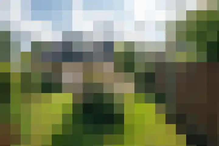 Merel 14 Obdam thumbnail 49
