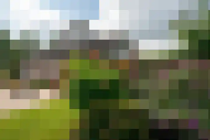 Merel 14 Obdam thumbnail 50