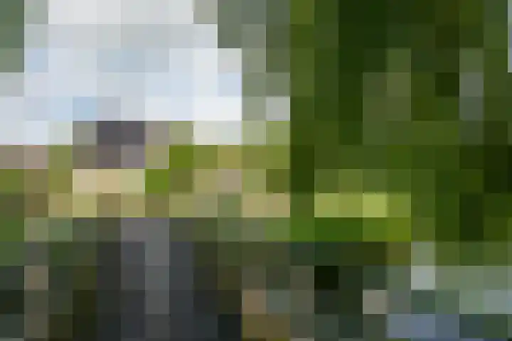 Merel 14 Obdam thumbnail 51