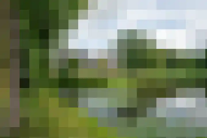Merel 14 Obdam thumbnail 52