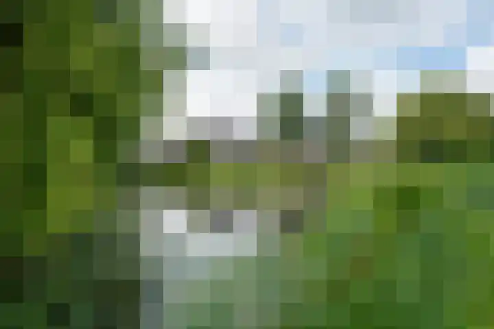 Merel 14 Obdam thumbnail 53