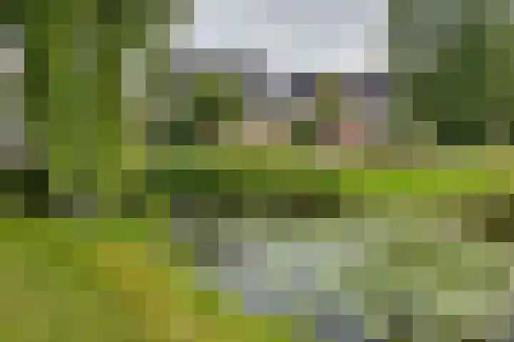 Merel 14 Obdam thumbnail 55