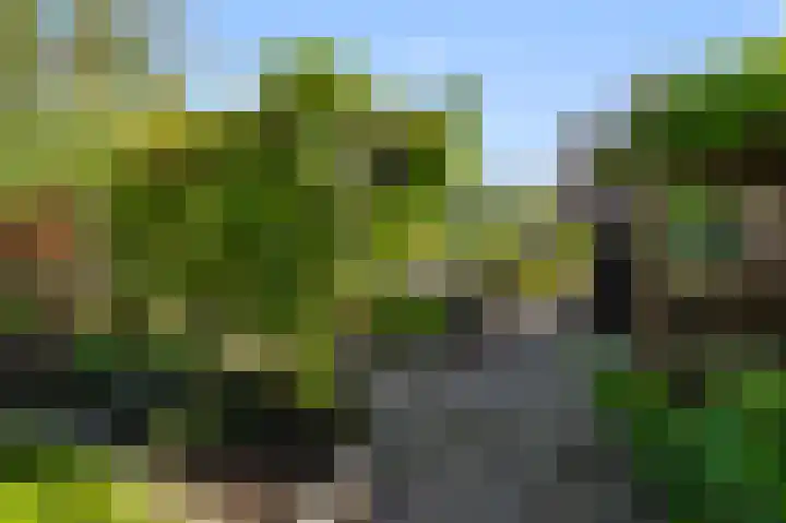 Merel 35 Heemskerk thumbnail 11