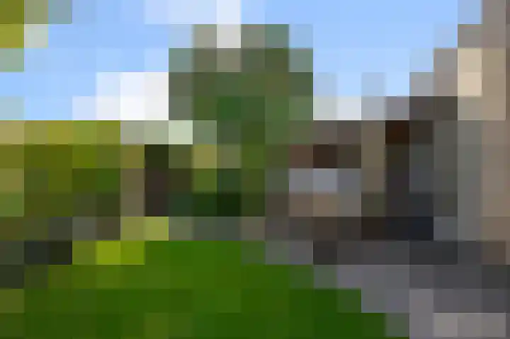 Merel 35 Heemskerk thumbnail 9