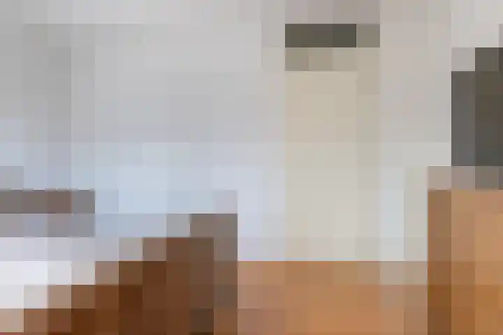 Merel 70 Heemskerk thumbnail 14
