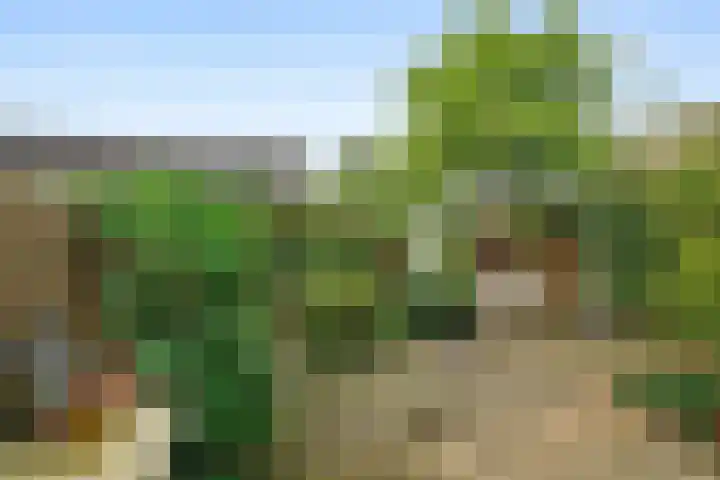 Merel 70 Heemskerk thumbnail 30