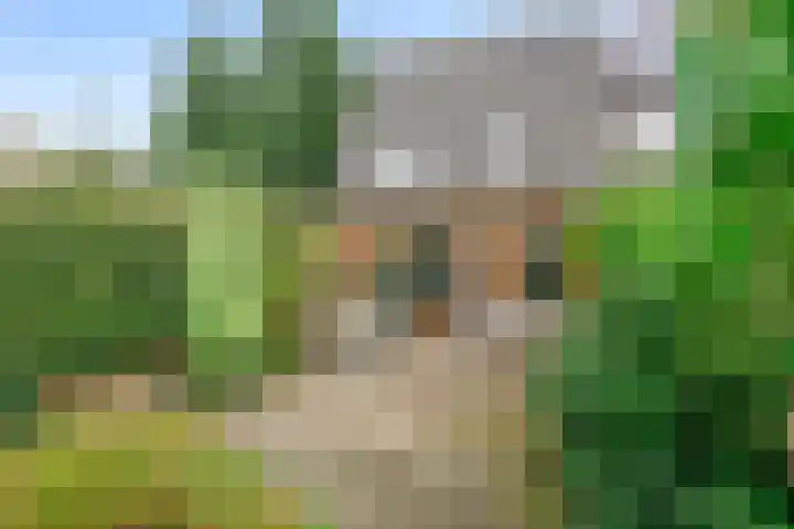 Merel 70 Heemskerk thumbnail 31