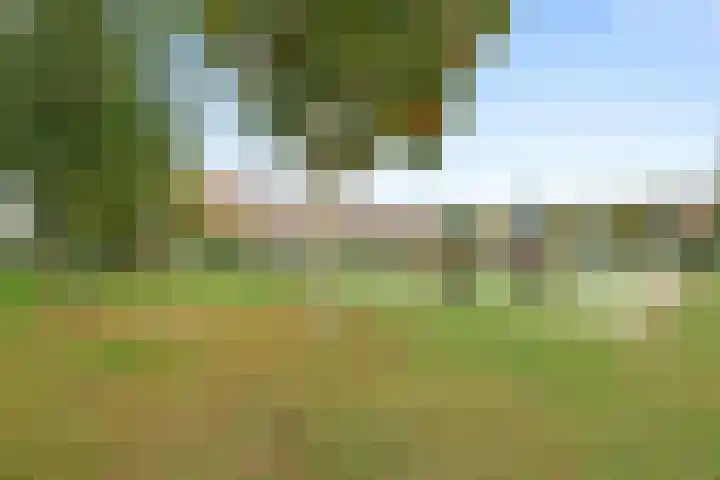 Merel 70 Heemskerk thumbnail 33