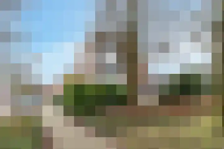 Merel 70 Heemskerk thumbnail 34