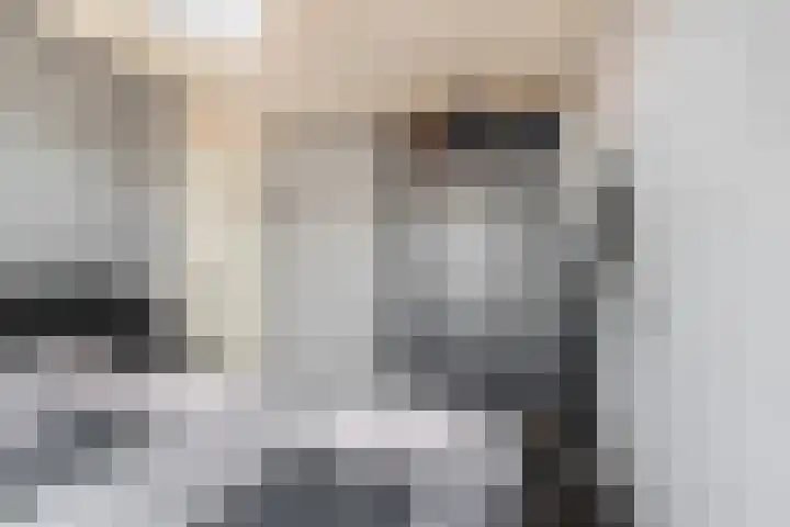 Merel 81 Heemskerk thumbnail 16