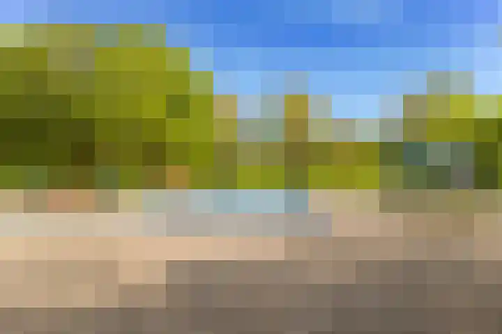 Merel 81 Heemskerk thumbnail 33