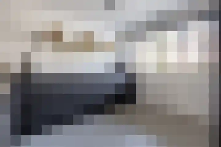 Merel 96 Heemskerk thumbnail 10