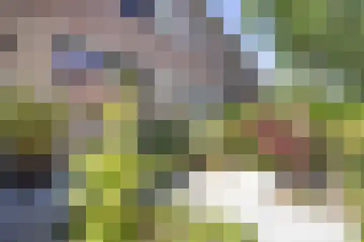 Merel 96 Heemskerk thumbnail 32