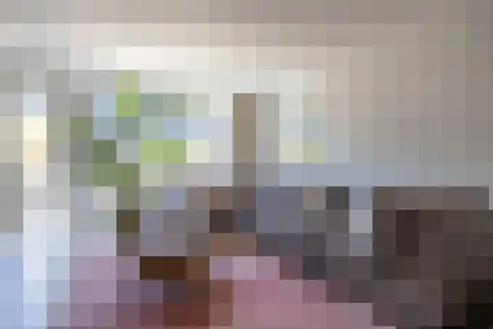 Merel 96 Heemskerk thumbnail 6
