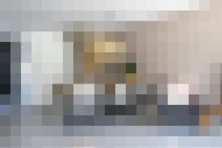 Merel 96 Heemskerk thumbnail 8