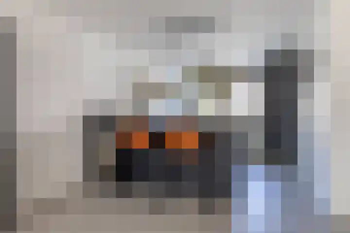 Merel 96 Heemskerk thumbnail 9