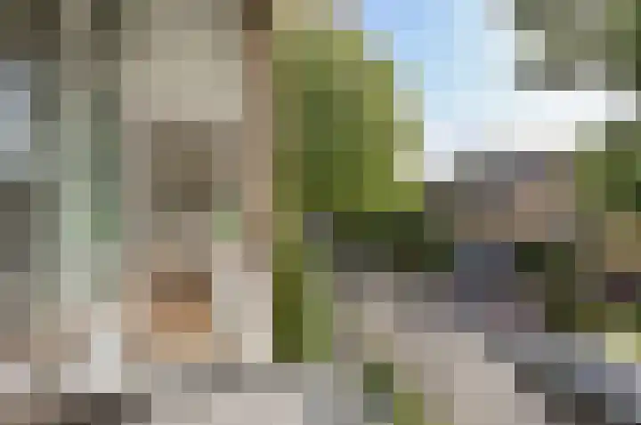 Merelhof 12 Baarn thumbnail 14