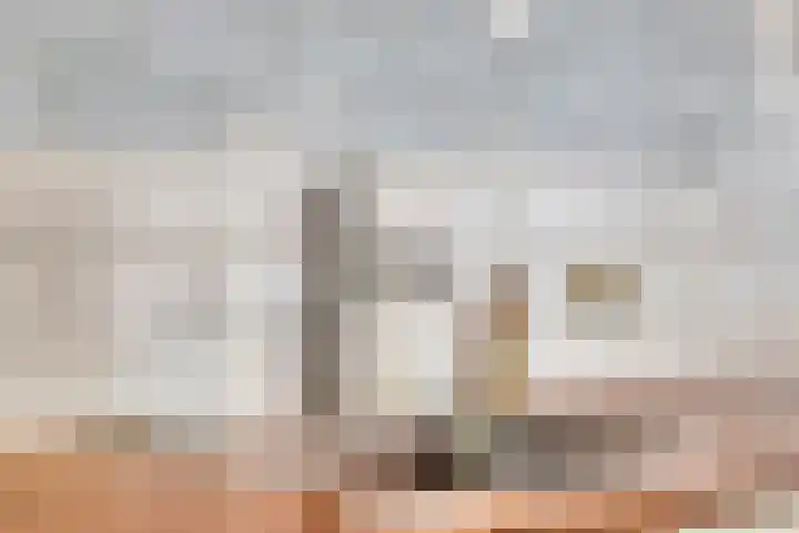 Merelhof 16 Wanssum thumbnail 19