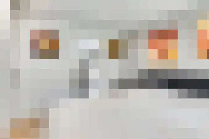 Merelhof 16 Wanssum thumbnail 21