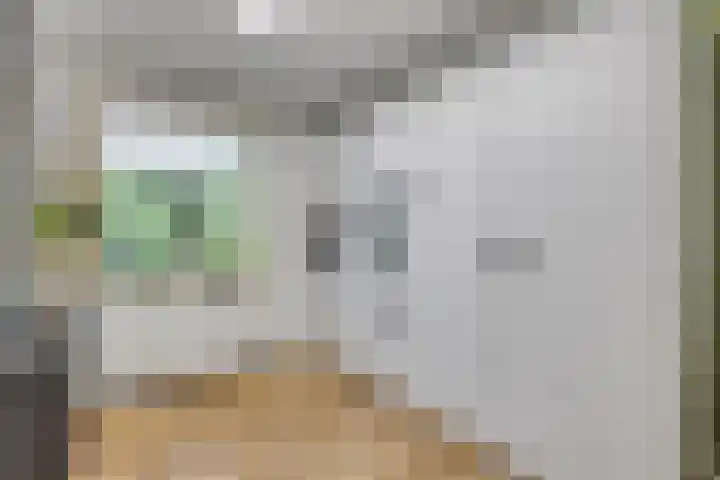 Merelhof 16 Wanssum thumbnail 22
