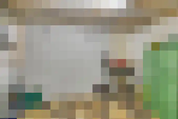 Merelhof 16 Wanssum thumbnail 30