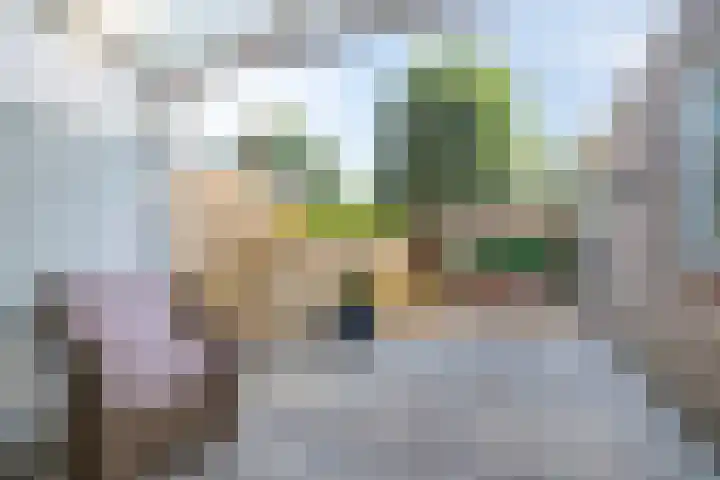 Merelhof 16 Wanssum thumbnail 36