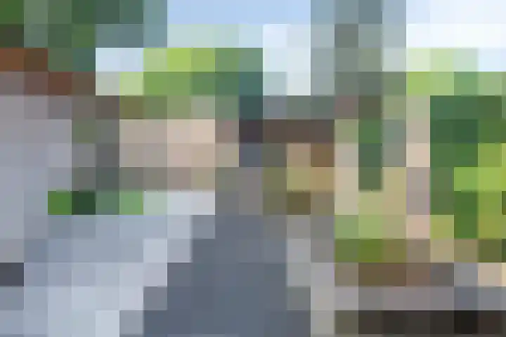 Merelhof 16 Wanssum thumbnail 42