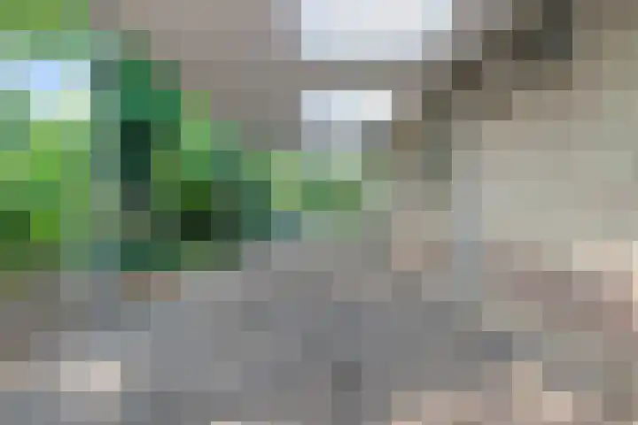 Merelhof 16 Wanssum thumbnail 46