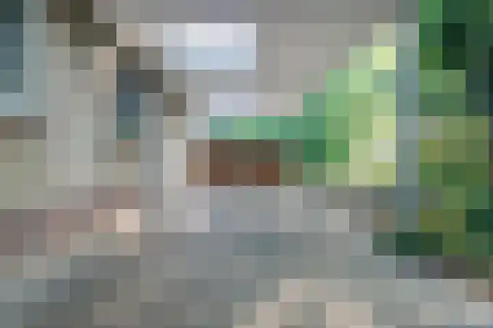 Merelhof 16 Wanssum thumbnail 47