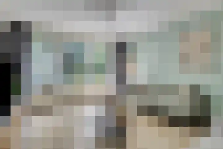 Merelhof 16 Wanssum thumbnail 7