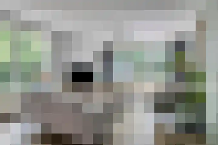 Merelhof 16 Wanssum thumbnail 8
