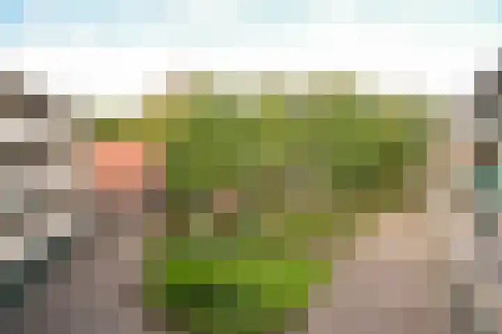 Merelhof 24 Baarn thumbnail 16