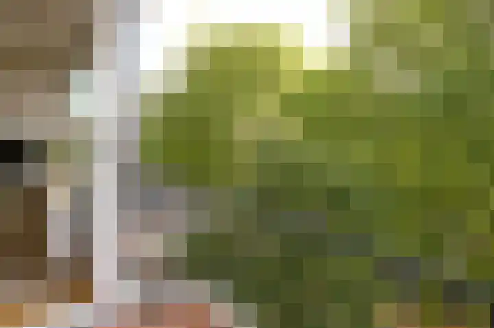 Merelhof 24 Baarn thumbnail 8