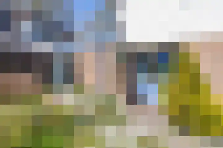 Merelhof 32 Norg thumbnail 10