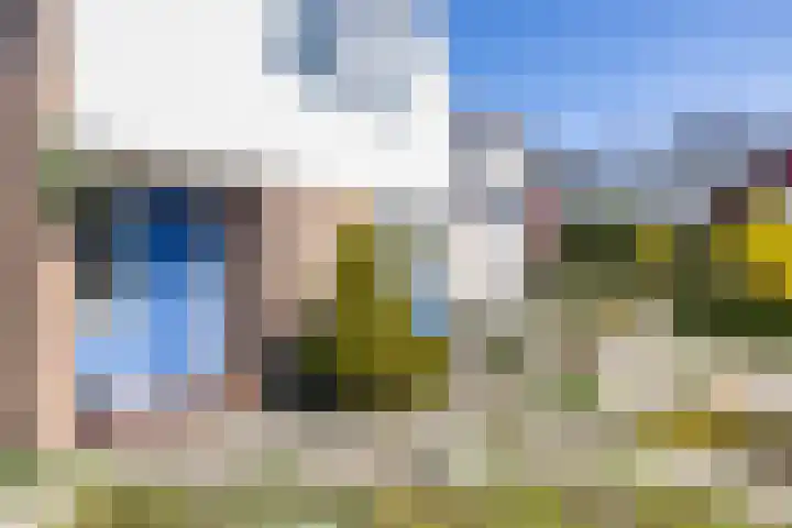 Merelhof 32 Norg thumbnail 11