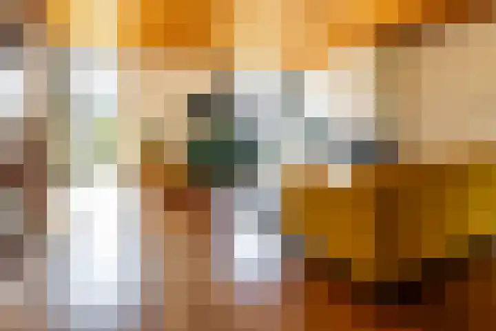 Merelhof 32 Norg thumbnail 16
