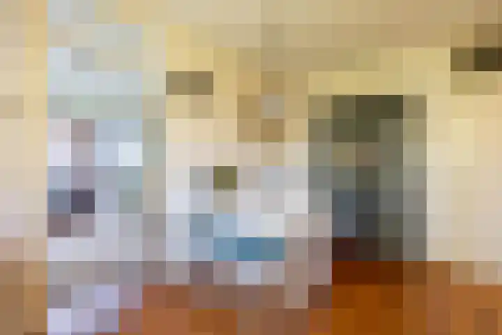 Merelhof 32 Norg thumbnail 27