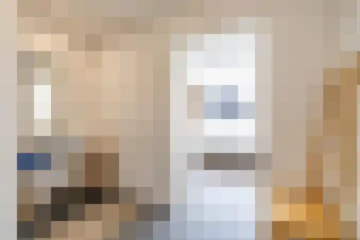 Merelhof 32 Norg thumbnail 34