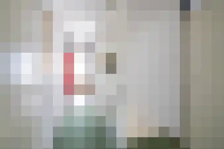 Merelhof 32 Norg thumbnail 37