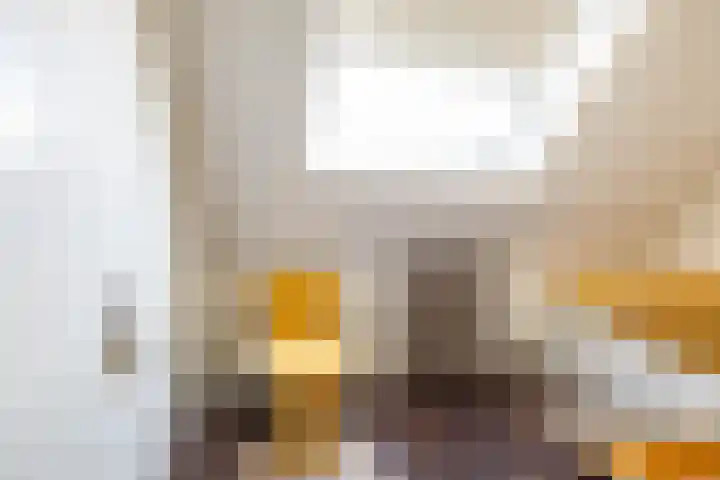 Merelhof 32 Norg thumbnail 38