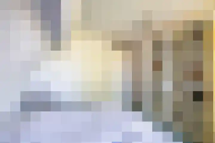 Merelhof 32 Norg thumbnail 44